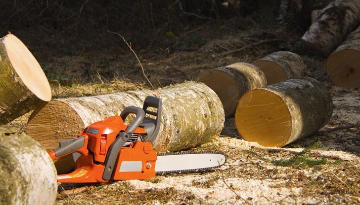 Незаконен добив на дървесина от двама мъже са установили служители на РУ – Сливо поле