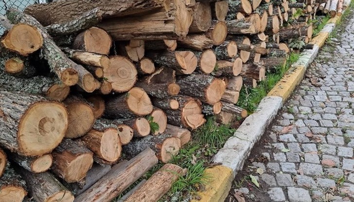 Дървесината за огрев е установена в два имота