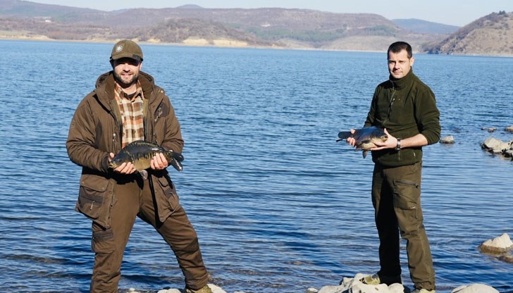 Във водата бяха пуснати над 350 трикилограмови риби