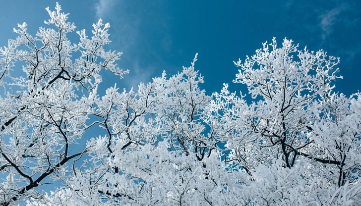 Максималните температури ще достигнат 6° Максималните температури ще достигнат 6°