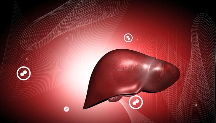 Всеки ден тялото е изложено на различни токсини и замърсители