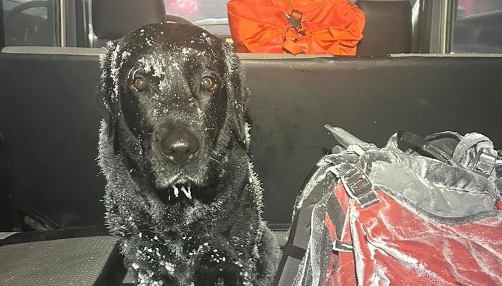 Осем планински спасители и кучето помогнаха на двама мъже край хижа "Козя стена" Осем планински спасители и кучето помогнаха на двама мъже край хижа "Козя стена"