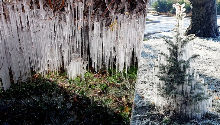 Оказа се, че няма никакъв вандалски акт Оказа се, че няма никакъв вандалски акт