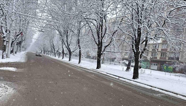 Входно - изходните точки на Русе са временно затворени поради опесъчаване Входно - изходните точки на Русе са временно затворени поради опесъчаване