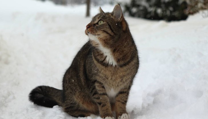 280 000 пуснаха петиция за уволнението на служителката 280 000 пуснаха петиция за уволнението на служителката