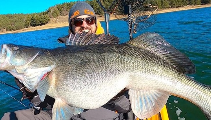 Трофеят е с дължина 1 метър и тежи над 10 килограма