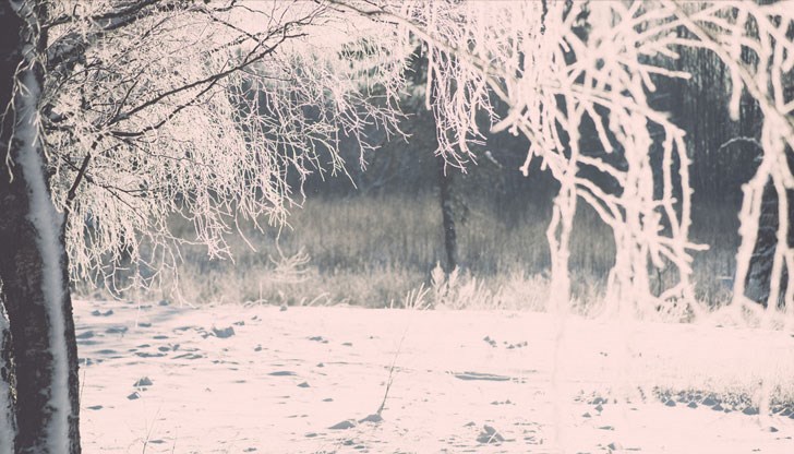 В Никалуокта, малко село в Северна Швеция, обитавано от коренното население саами, термометърът е показал минус 41,6 градуса Целзий рано във вторник В Никалуокта, малко село в Северна Швеция, обитавано от коренното население саами, термометърът е показал минус 41,6 градуса Целзий рано във вторник