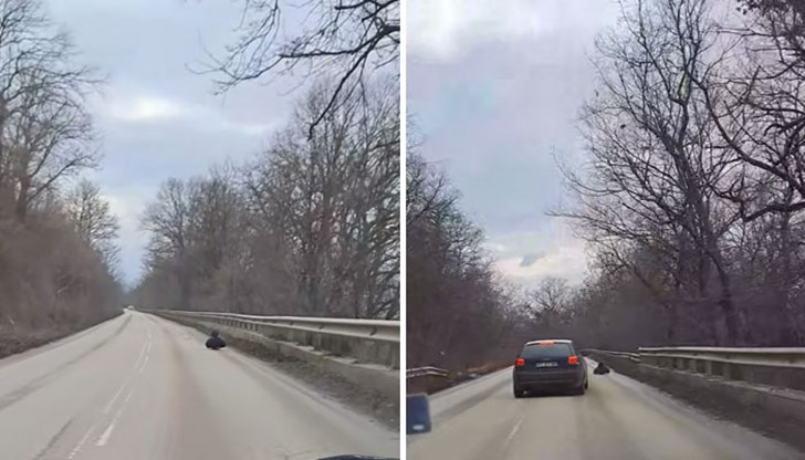 Младеж, полегнал върху скейтборд, лети между колите Младеж, полегнал върху скейтборд, лети между колите
