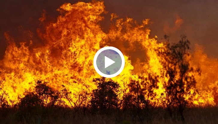 Пожар обхвана над 400 хектара гориста местност