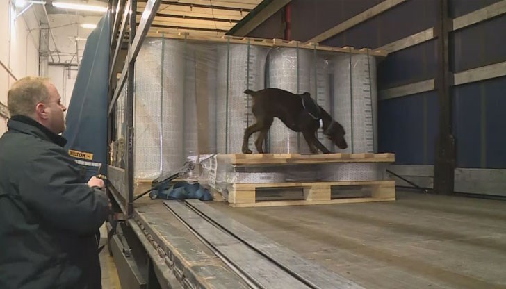 Кучето е подарък от британските митничари