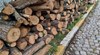 Откриха незаконна дървесина в село Копривец
