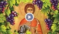 Почитаме Свети Трифон, покровител на лозарите, винарите и кръчмарите
