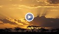 Пожари оцветиха в оранжево небето над Южна Африка