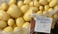 Пресният картоф удари 12,50 лева за килограм в Троян