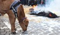 Фермери запалиха слама пред министерството на земеделието и я изгасиха с мляко