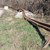 Остри завои, ръждиви и скъсани мантинели: Опасен участък от пътя Русе - Велико Търново