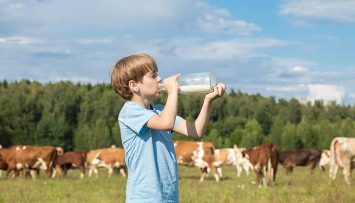 Ограбват ни и с млякото. Изкупната цена намалява, но на едро нараства Ограбват ни и с млякото. Изкупната цена намалява, но на едро нараства