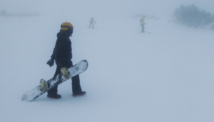 На терен са вече 10 души, четири кучета и доброволци На терен са вече 10 души, четири кучета и доброволци