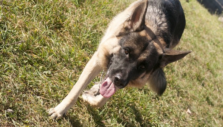 Съдът в Хасково присъди обезщетение в размер на 2000 лева Съдът в Хасково присъди обезщетение в размер на 2000 лева