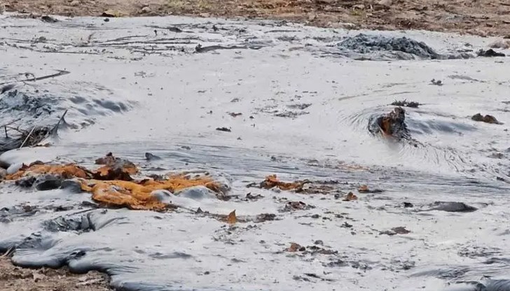 Химически вещества, вероятно бои, са изхвърлени близо до обработваема нива край Димитровград Химически вещества, вероятно бои, са изхвърлени близо до обработваема нива край Димитровград