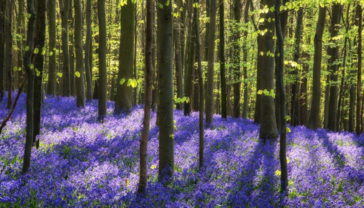 През второто десетдневие на март се очаква температурите да бъдат по-високи от обичайните През второто десетдневие на март се очаква температурите да бъдат по-високи от обичайните