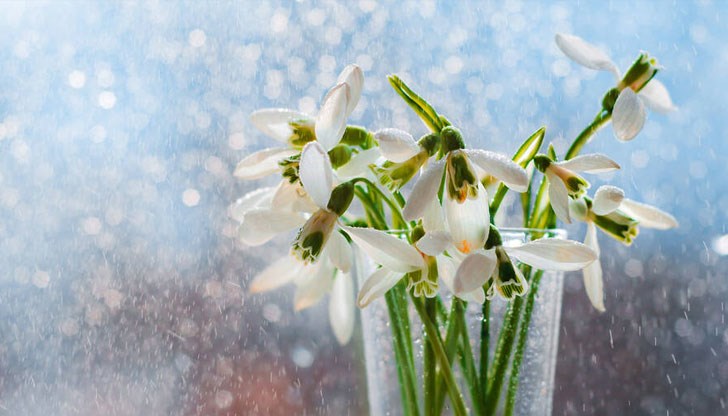 Живакът скача до 20 градуса в края на следващата седмица Живакът скача до 20 градуса в края на следващата седмица