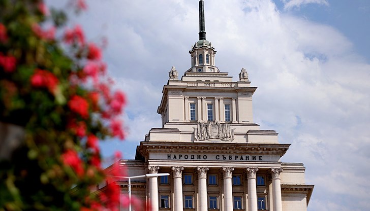 "Мис Силикон" кара с превишена скорост автомобил, на който има стикер "Република България - Народно събрание" "Мис Силикон" кара с превишена скорост автомобил, на който има стикер "Република България - Народно събрание"