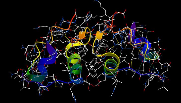 Ако има съмнения за инсулинова резистентност, в никакъв случай не бива да се самолекуваме Ако има съмнения за инсулинова резистентност, в никакъв случай не бива да се самолекуваме