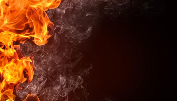 Случаят е от град Плиска