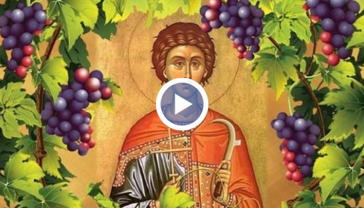 Имен ден днес празнуват Трифон и Трифона