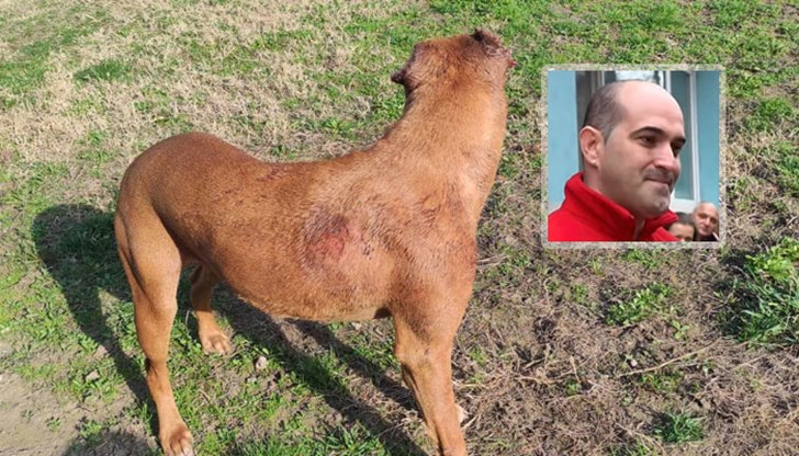 Трагедия с добър край