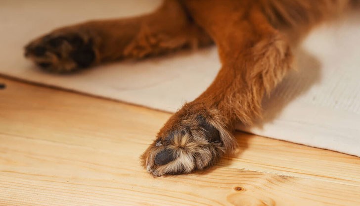 Хората са твърдо решени да не оставят и това деяние да се размине без наказание Хората са твърдо решени да не оставят и това деяние да се размине без наказание