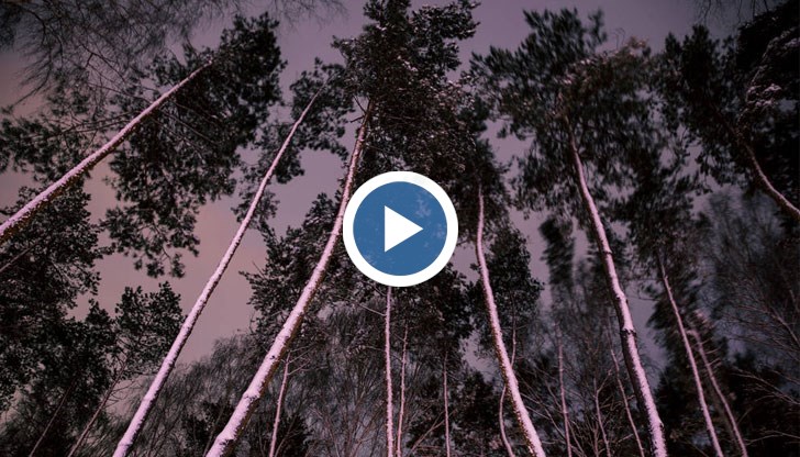 Снегът идва след 20 февруари