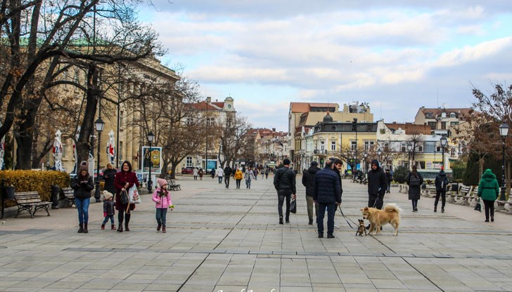 Най-често жалбите са свързани със стоки от бита Най-често жалбите са свързани със стоки от бита