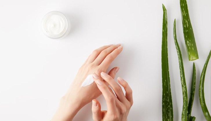 Алоето съдържа много витамини и минерали, има овлажняващо, антисептично, противовъзпалително и стягащо действие