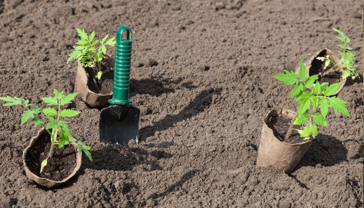 Съвети от опитни градинари