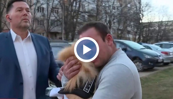 Това е пореден случай с неверен полеви тест