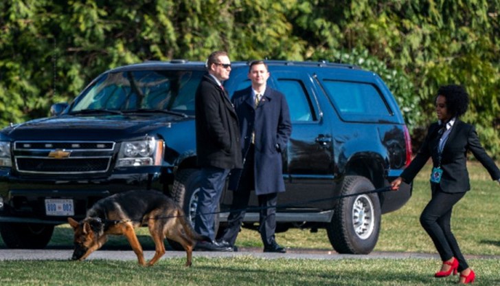 Най-малко 24 инцидента с ухапване са се случили между октомври 2022 и юли 2023 година