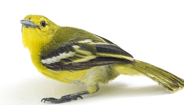 Превозното средство е било спряно за проверка на входа на Одрин Превозното средство е било спряно за проверка на входа на Одрин