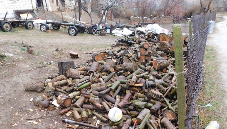 Дървата за огрев без контролна горска мярка са били в имоти в Бяла и село Дряновец