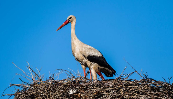 Минималните температури и днес в почти цялата страна са положителни