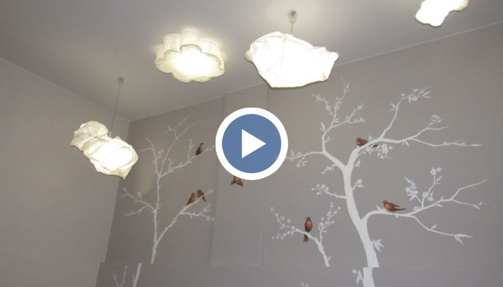 Председателят на Окръжен съд - Русе Николинка Чокоева разкри подробности за каузата