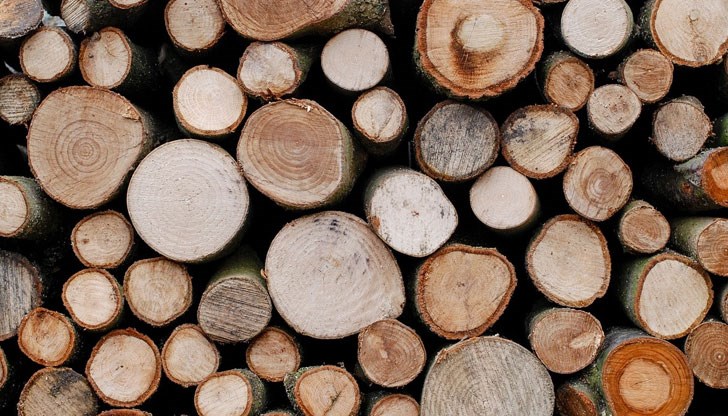 Немаркираните дърва за огрев от вида акация са били на три адреса в града Немаркираните дърва за огрев от вида акация са били на три адреса в града