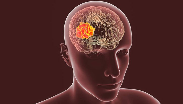 Резултатите от изследването са публикувани в специализираното издание Nature Neuroscience