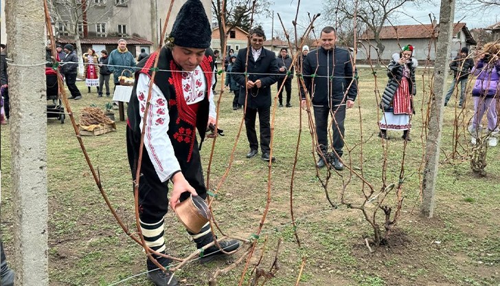 Празникът на виното и лозята отбелязаха в русенското село Сандрово с ритуално зарязване