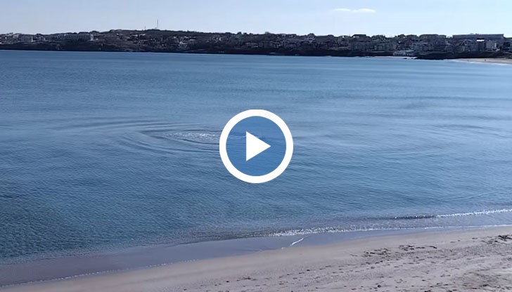 "Квадратни вълни" изненадаха жителите на морския град