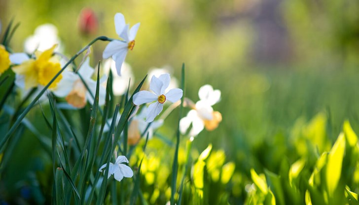 Към края на първата десетдневка на март ни очаква поредно затопляне, зимата ще напомни за себе си в края на месеца Към края на първата десетдневка на март ни очаква поредно затопляне, зимата ще напомни за себе си в края на месеца