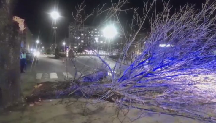 Огромният дънер се е стоварил непосредствено до пешеходна пътека Огромният дънер се е стоварил непосредствено до пешеходна пътека