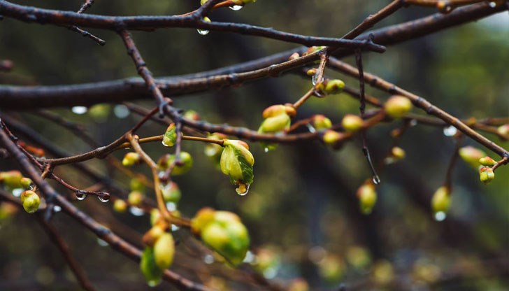 Чака ни променливо време