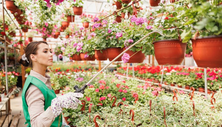 Правилното поливане е ключов фактор за неговото здраве и красота